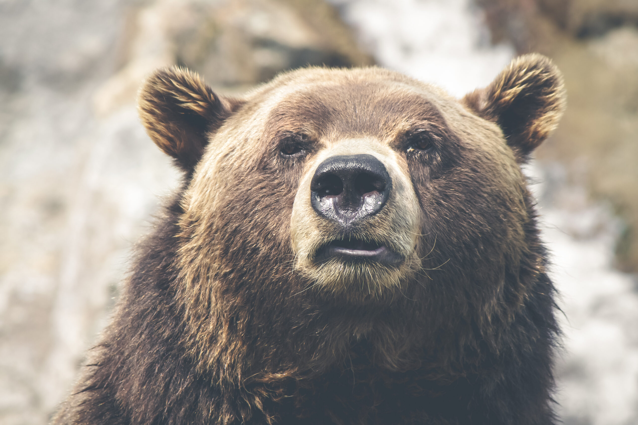 ETXSTA Right to Bear partnership program for personal protection